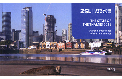 The State of The Thames 2021
